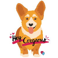 MalzPalz love wink corgi corgis Sticker