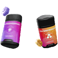 Champion Sticker by MADMONQ