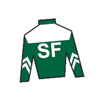 Horse Racing Sticker by Kentucky Derby