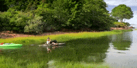 maine GIF