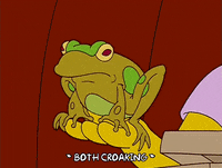 episode 15 frog GIF