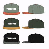 GIF by Treefort Music Fest