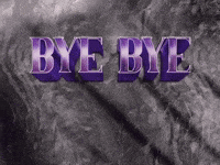 Guten Rutsch Bye Bye GIF