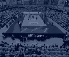 Celebration Thumbs Up GIF by SSCPalmbergSchwerin