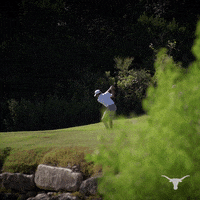 Golf Austin GIF by Texas Longhorns