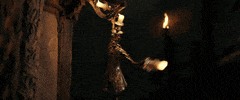 GIF by Beauty And The Beast