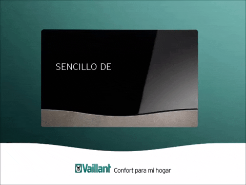 Vaillant_es giphygifmaker GIF