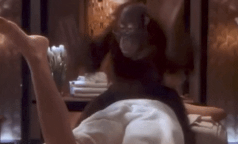 moodman giphygifgrabber butt spank chimpanzee GIF