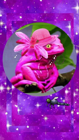 janellegiese giphyattribution frog bright pink GIF