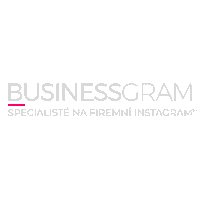 Logo Businessgram Sticker by BGRAM