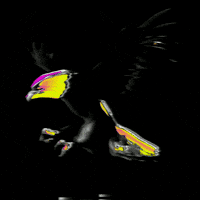 Glitch Emoji GIF by #BASILIO