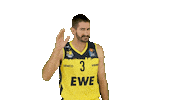 Ewe Baskets Basketball Sticker by EWE Baskets Oldenburg