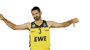 Ewe Baskets Basketball Sticker by EWE Baskets Oldenburg