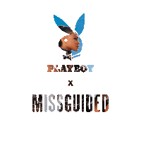 Bunny Photoshoot Sticker by Missguided