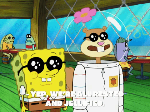 season 8 GIF by SpongeBob SquarePants