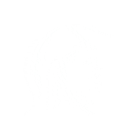 WebbSchoolofKnoxville spartan webb webbschool webbschoolknoxville Sticker