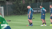GIF by SV Werder Bremen