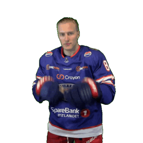 Fight Sticker by VIF Hockey