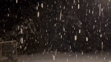 'Gigantic Snowflakes' Fall in Southern Vermont