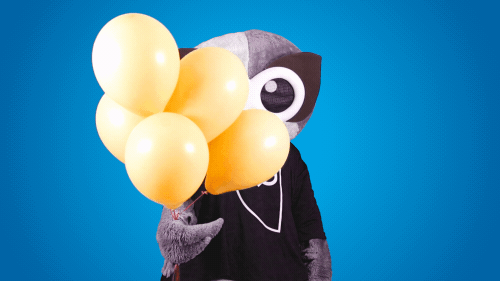 peek a boo party GIF by Hootsuite