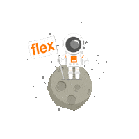 Ambasadorflex Sticker by Orange Flex