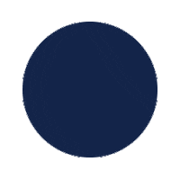 Loop Circle Sticker by Quincy College