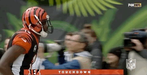 2018 Nfl Football GIF by NFL
