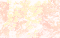 Morphing 8 March GIF