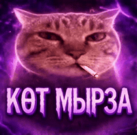 Қазақша Мемдер GIF