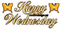 wednesday STICKER