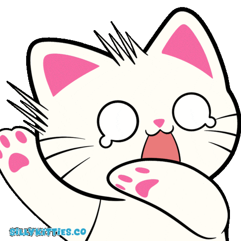 Scared Cat Memes GIF by Silly Kitties