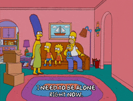 homer simpson GIF