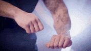 GIF by Parlophone Records