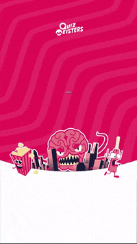 GIF by Quiz Meisters