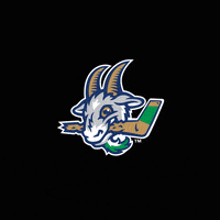 Yard Goats Smile GIF by Hartford Yard Goats