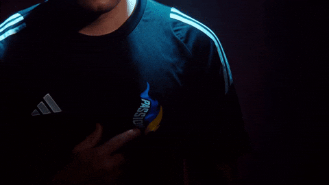 Hong Kong Esports GIF by BLAST