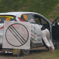 FIA-ERC car monday lost rally GIF