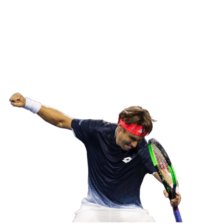 AcademiaTenisFerrer team tennis david vamos Sticker
