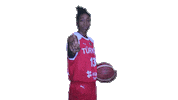 Basketball Turkey Sticker by Türkiye Basketbol Federasyonu