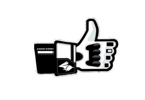 racing_rabbit thumb correct joia racing rabbit Sticker