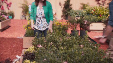sara rue true love blooms GIF by Hallmark Channel