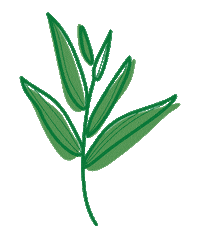 Spring Re Sticker by Kansas City Furnishing Company