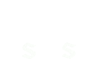 StarWingSportsManagement sports star wing sws Sticker