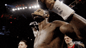 deontay wilder GIF by SHOWTIME Sports