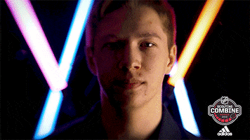 nhl sports sport hockey nhl GIF