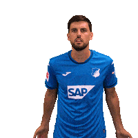 Florian Grillitsch Sport Sticker by TSG Hoffenheim