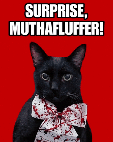 mannycat giphystrobetesting dexter black cat doakes GIF