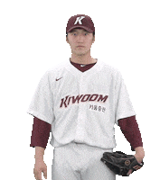 키움히어로즈 Sticker by Kiwoom Heroes Baseball Club