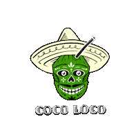 Skull Coco Sticker