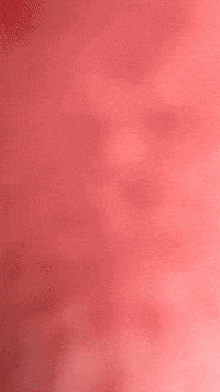 Spongebob Patrick GIF by Youtooz